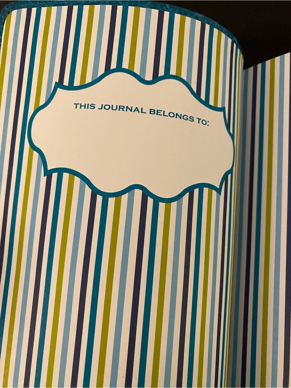 Jonathan Adler Meadow Mosaic Soft Teal Journal Barnes & Noble Limited Edition